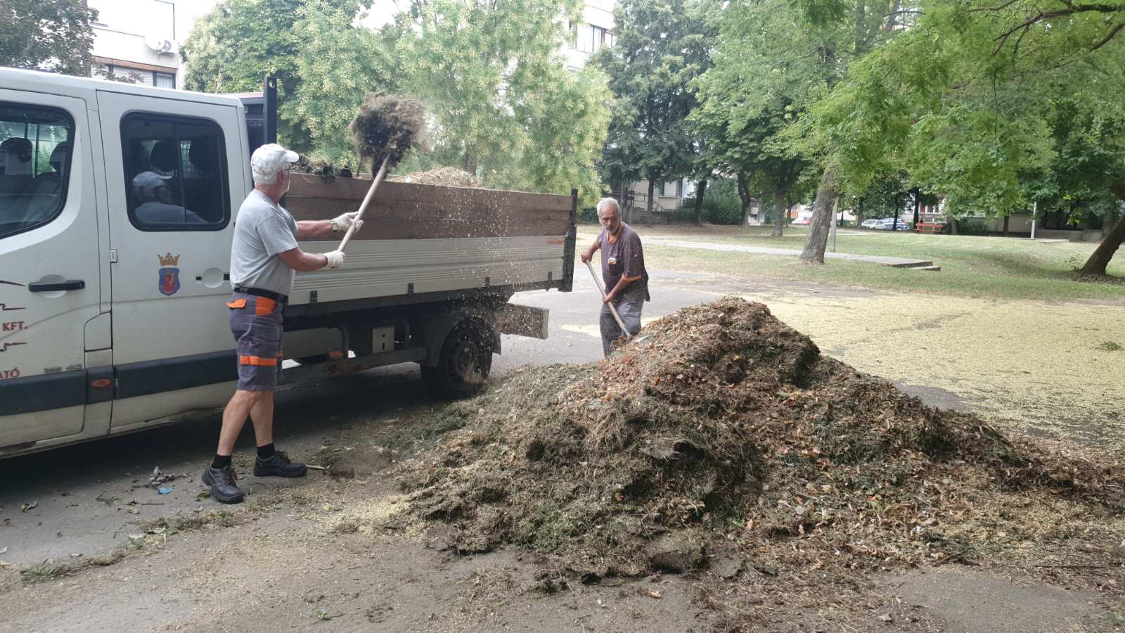 20240723 Zöldhulladékok Földvári ltp