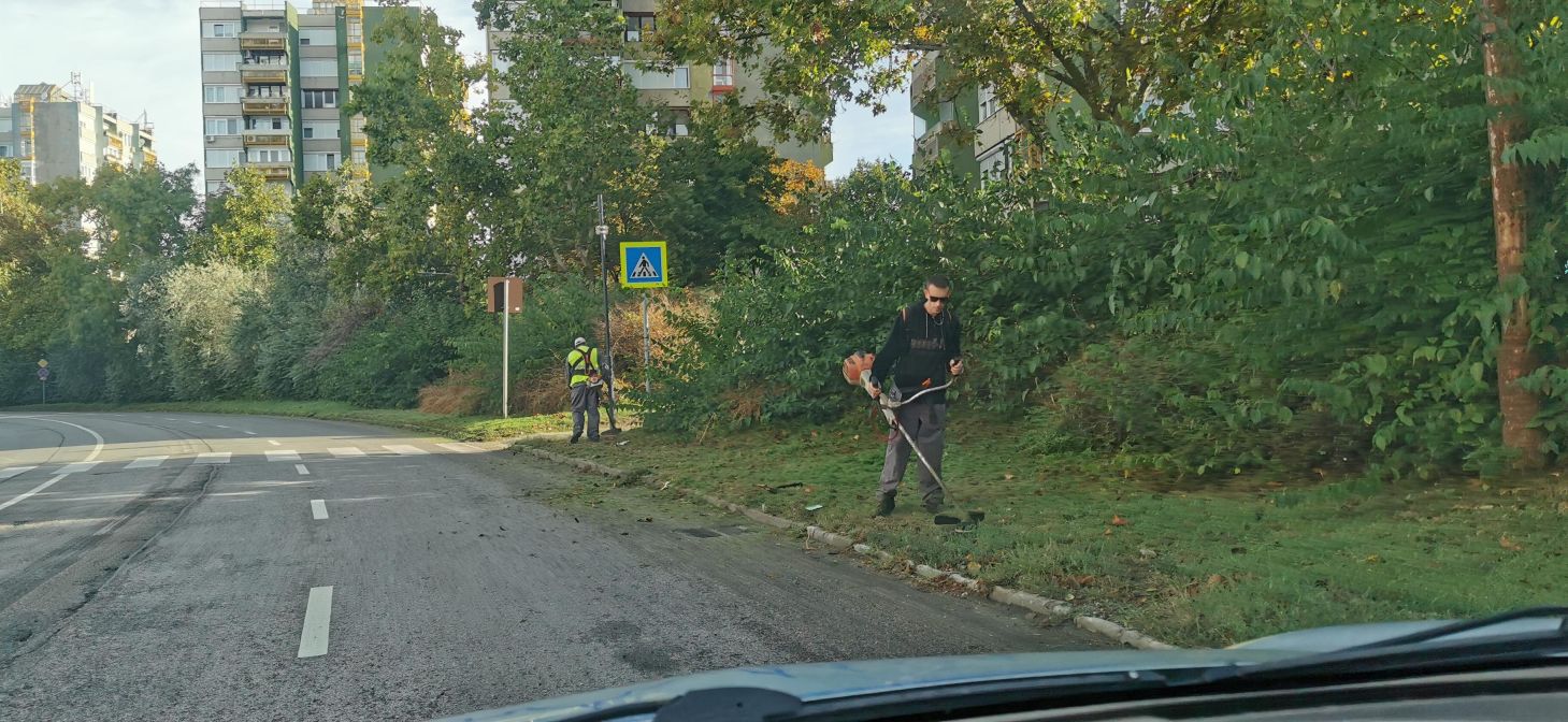 20240910 Fűnyírás dr Csányi krt2