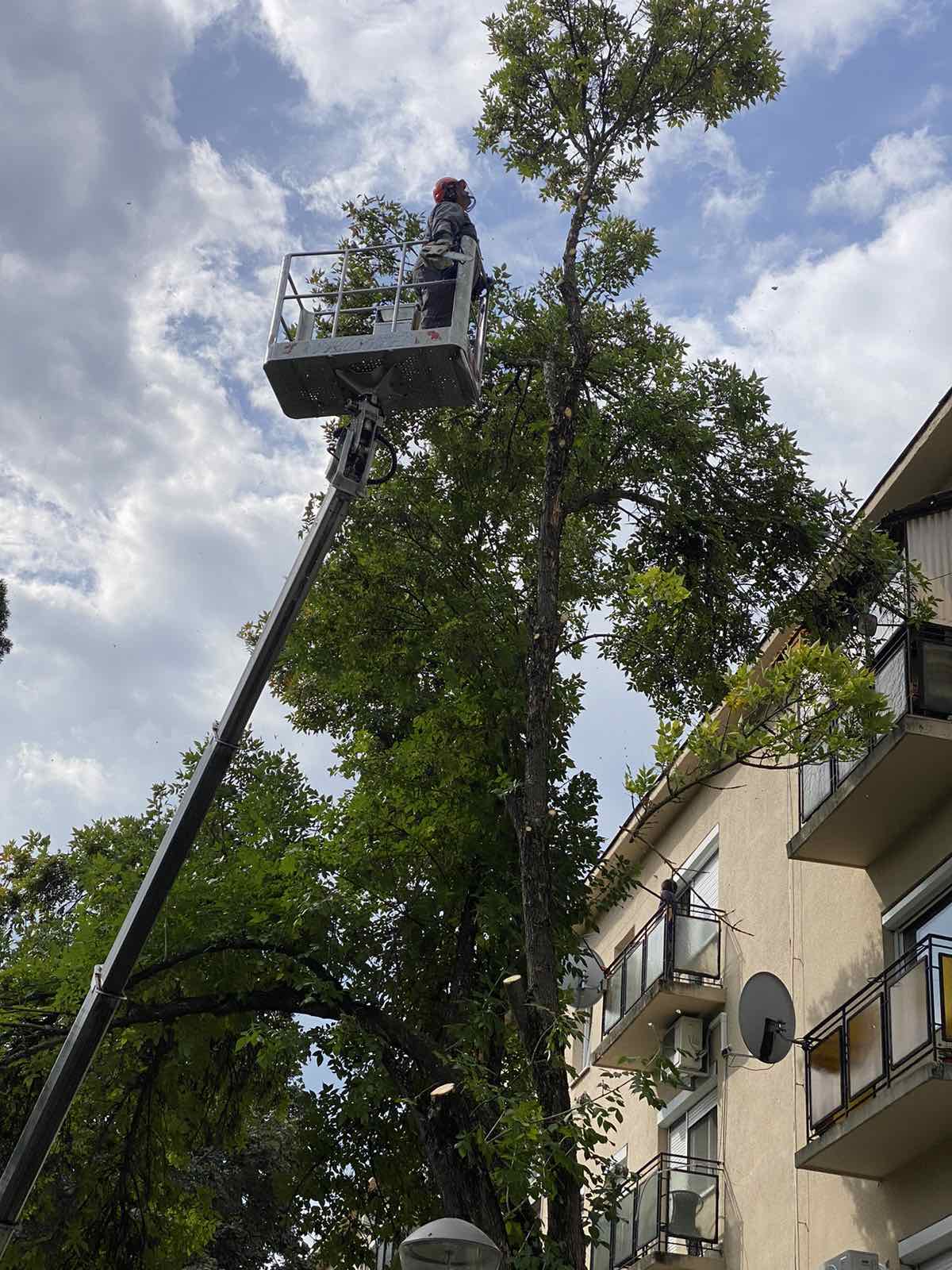 20240924 Kosaras koronavágás 48 asok útja4