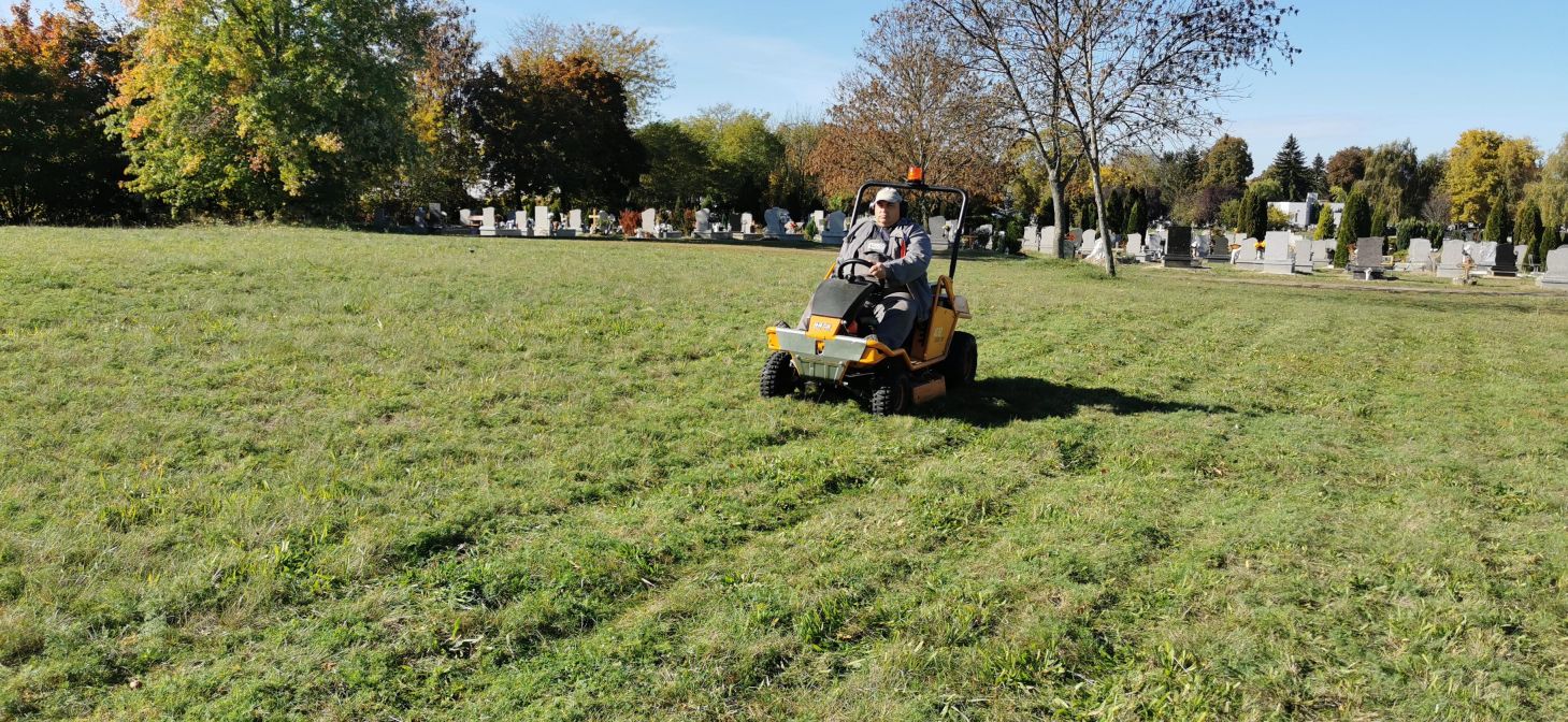 20241024 Traktoros nyírás Köztemető2