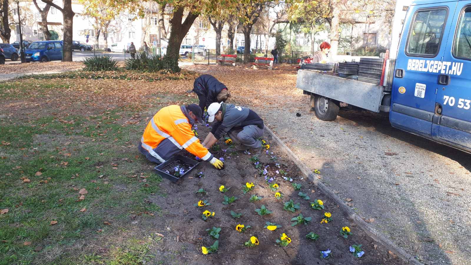 20241107 Virágpalántázás Posta park2