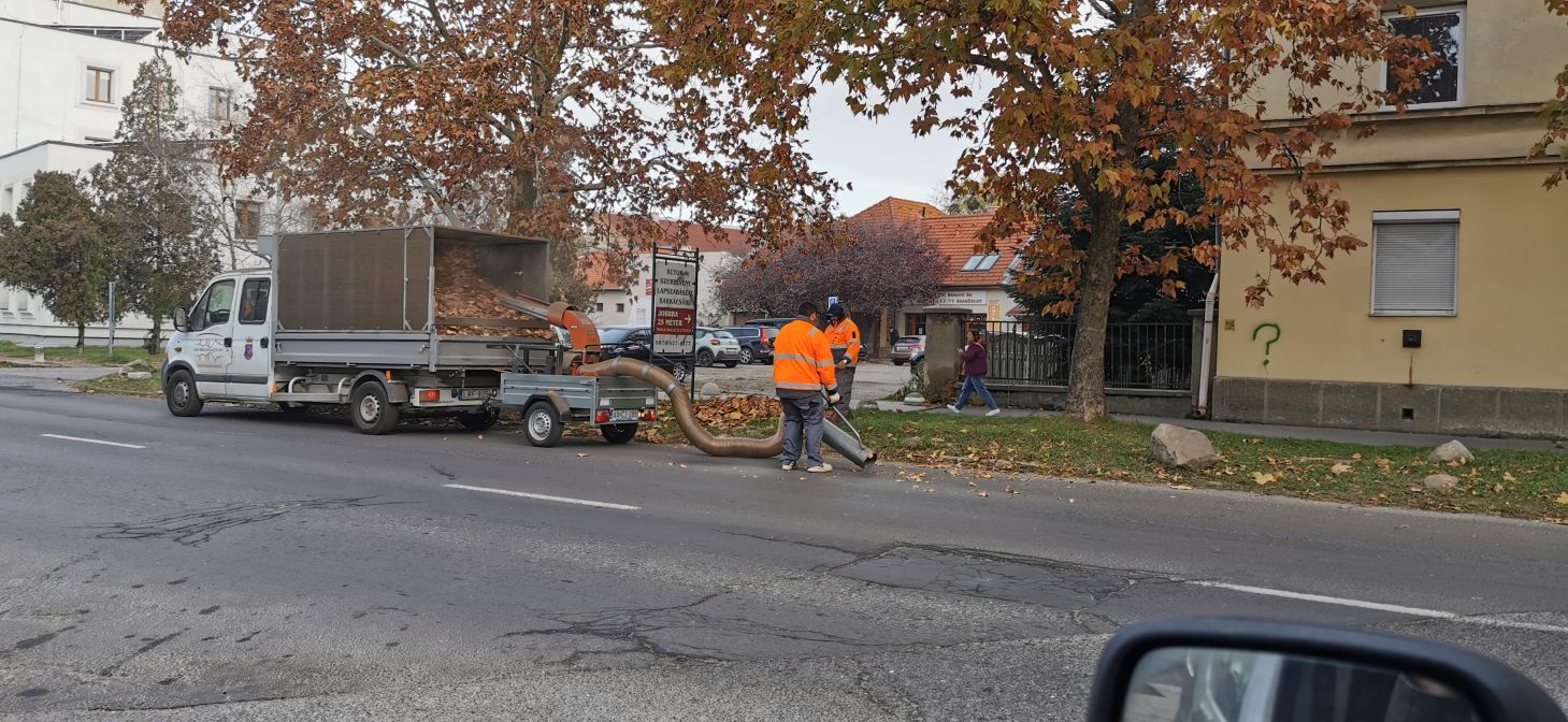 20241115 Lombszívás dr Csányi krt1