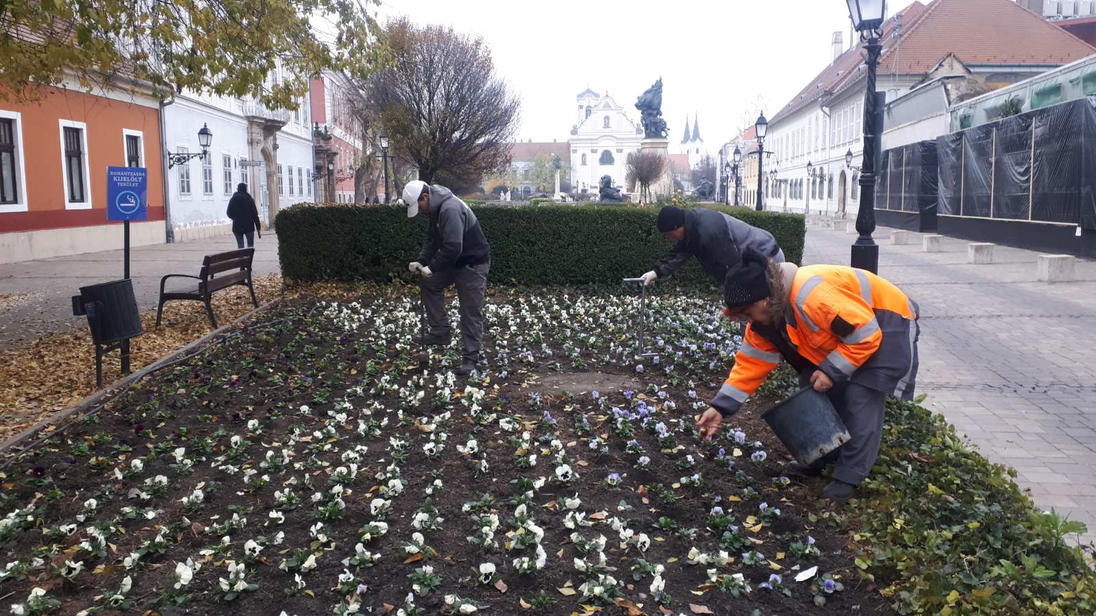 20241119 Hagyma duggatás Főtér Bécsikapu2