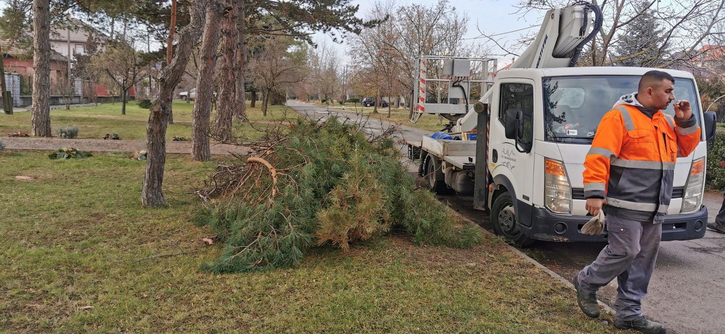 20241205 Kosaras korona visszavágás Berkes A u1