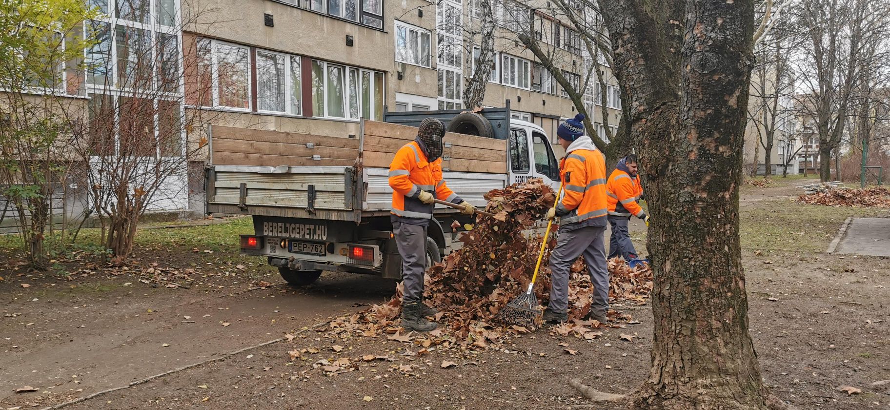 20241217 Zöldhulladék Újhegyi Harkály Sirály Rigó tb1