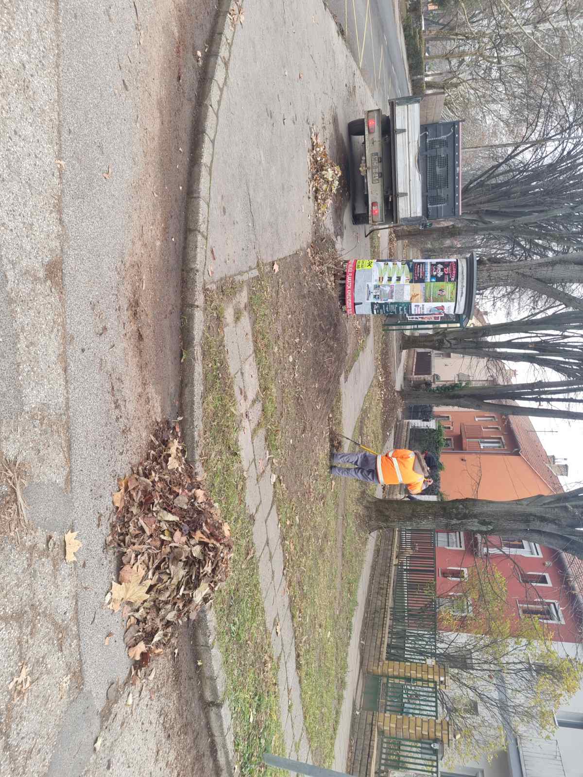 20241219 Zöldhulladékok Újhegyi buszmegálló1