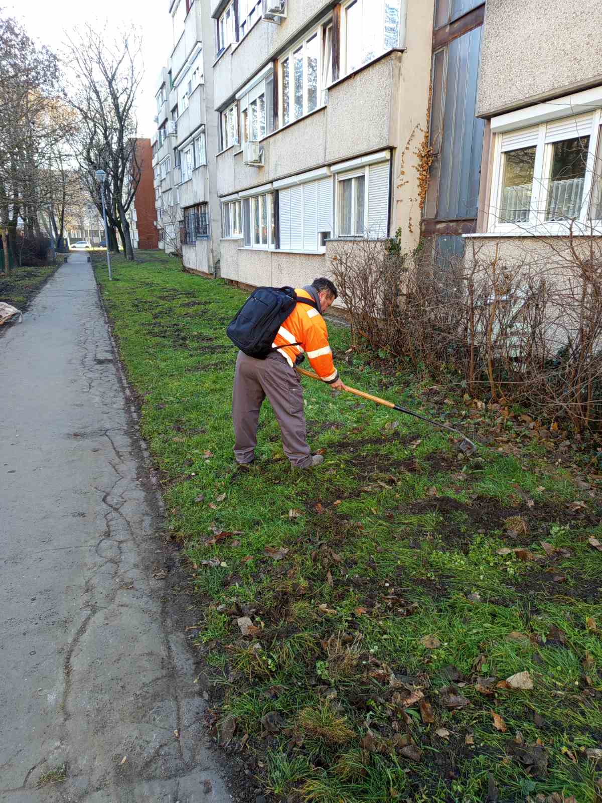 Zöldfa utca 6. tereprendezés2