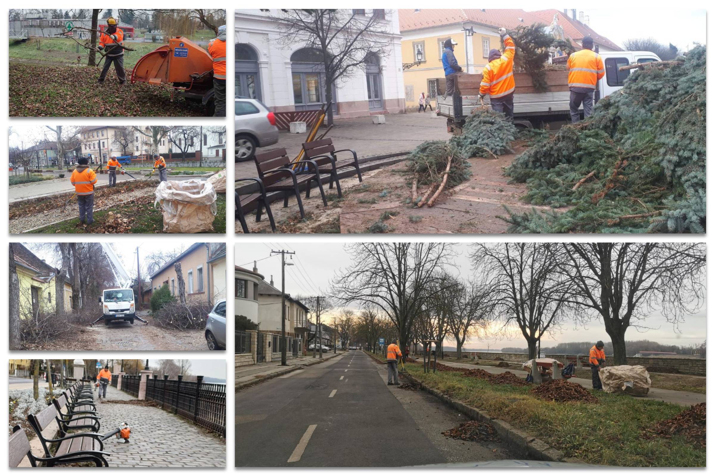 Tájékoztató a zöldterület fenntartási részleg 3. hétre tervezett munkálatairól